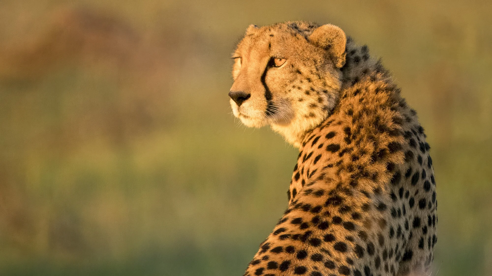 Kenya