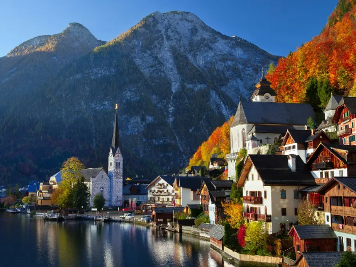 Tour de Los Alpes ¡9 Experiencias incluidas y visitas especiales!