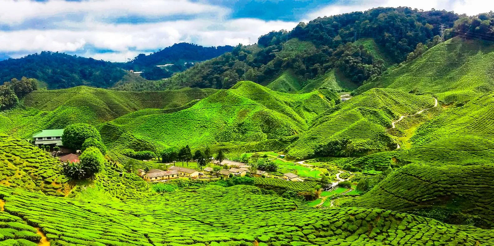 Malasia Clásica: Naturaleza y Tradición