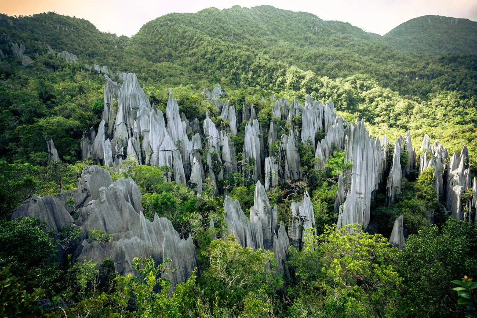 Gran Tour de Borneo en 9 dias